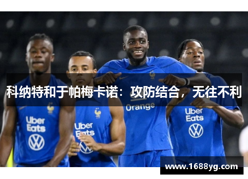科纳特和于帕梅卡诺:攻防结合,无往不利